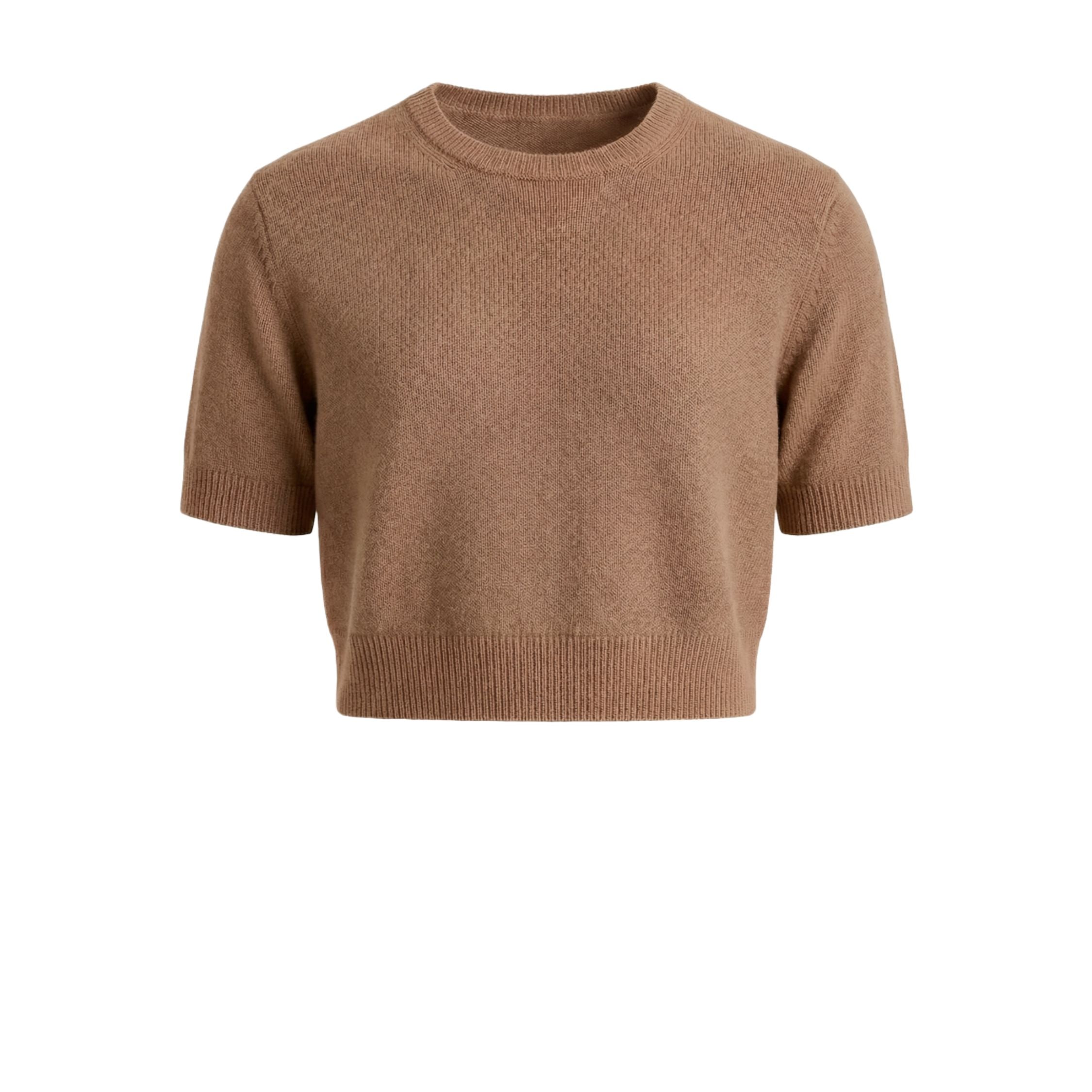 Beige 100% cashmere pashmina knitted short sleeve crop top , featuring a ribbed neck, cuffs, and hem.